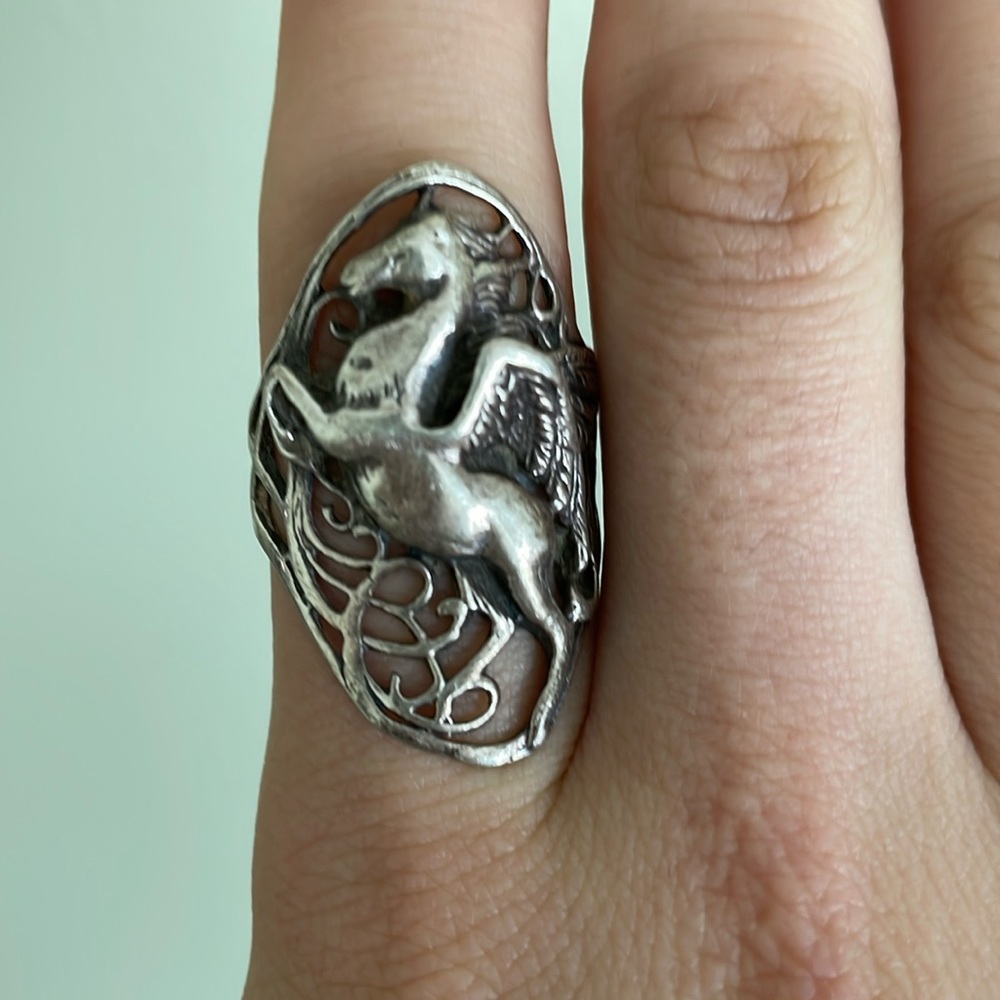 Pegasus Ring - image 1